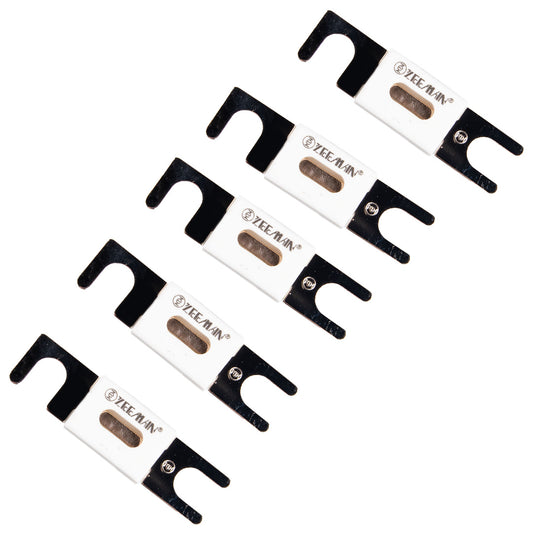 Victron ANL-fuse 300A/80V for 48V products (PK 5) - CIP143300020